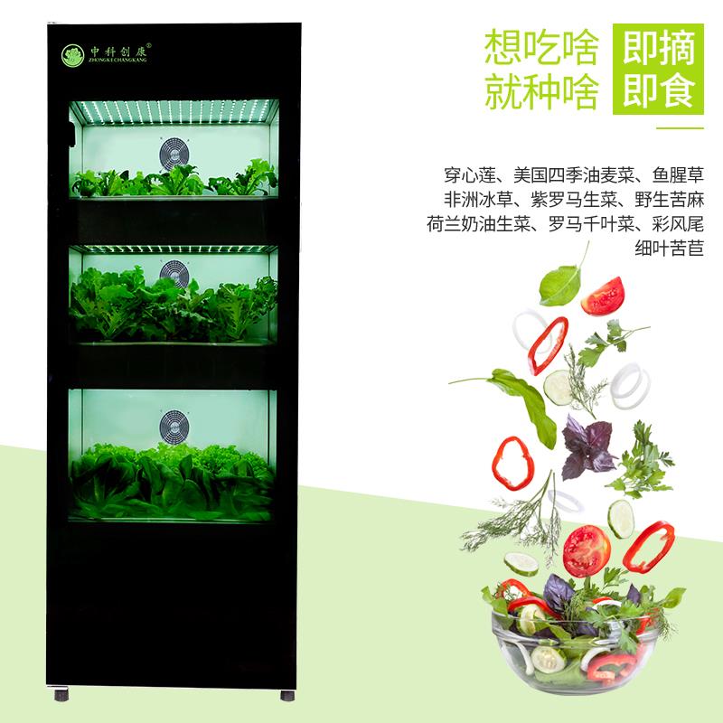 全封闭式智能种菜机蔬菜种植柜家庭植物工厂无土栽培水培蔬菜设备