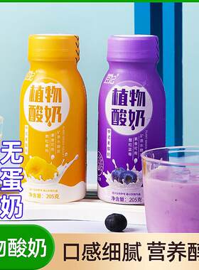 新疆包邮大豆纯素酸奶无蛋原味酸豆奶乳酸菌蛋白植物奶蔗糖益生元