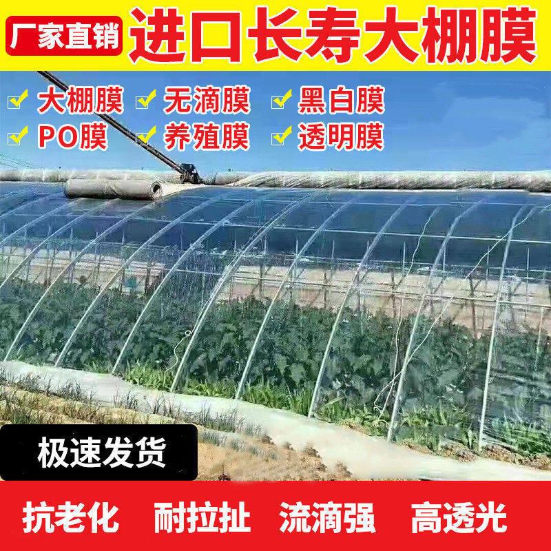 五层共挤PO膜大棚膜抗老化无滴膜蔬菜棚食用菌种植塑料布薄膜