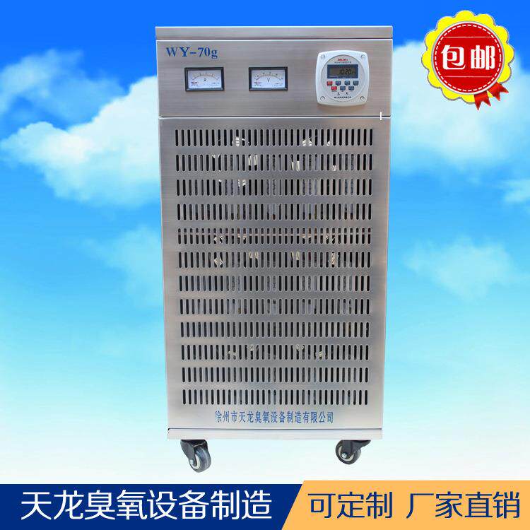 臭氧发生器 WY-70g移动片式臭氧机食用菌业食品厂车间臭氧设备
