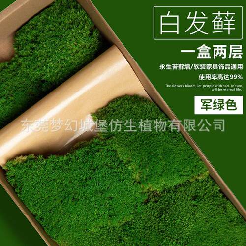 永生苔藓白发藓青苔绿植墙苔藓草坪装饰植物墙苔藓墙永生花