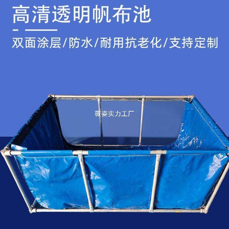 鲤水箱鱼庭院塑料透WZWOSSQE明养不锈钢水族箱折叠锦暂鱼池养鱼帆