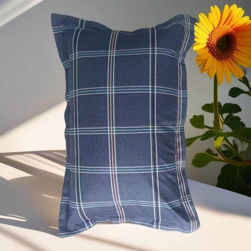 人枕头枕头一个装亲肤舒适简约学生宿舍双人成人枕皮枕芯家用床品