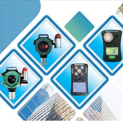 价可议-气体检测报警仪 型号:SG911-SNG350-CO 库号：M60849