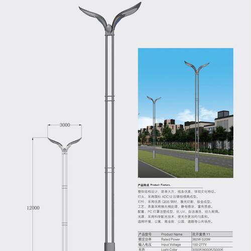 皇广观UQQ路灯花开富贵 Y1-商业景街路园公道出口品质厂家带安装