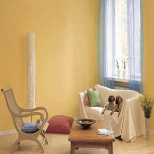 嘉雅士罩光面油 水性硅丙罩光清漆 外墙保护效果