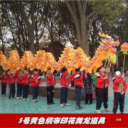 5号中小学生儿童舞龙舞狮道具绸缎布龙舞龙灯服装龙头9节钢丝圈龙 - 封面
