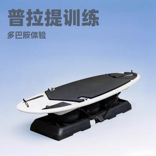 多巴胺冲浪板平衡板核心力量训练瑜伽馆家用普拉提弹簧