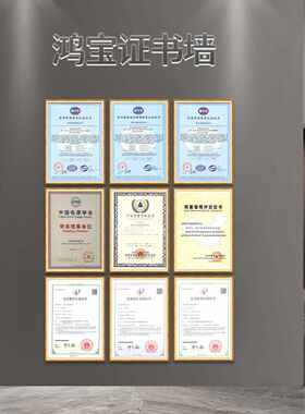 式稳压在线停电电脑备用机房-延时不间断hbg鸿1600wups宝2ks电源/