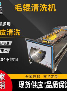 白萝卜红薯去皮清洗及苹果橘子喷淋清洗设备海蛎子毛辊清洗机