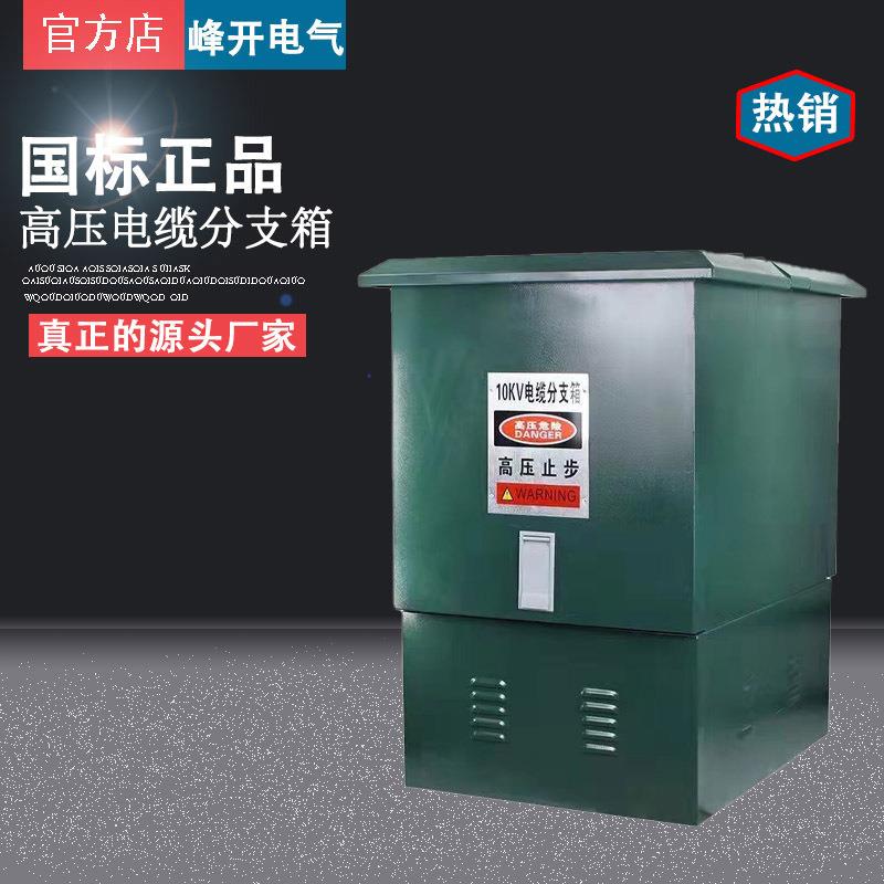 10KV高压电缆分支箱一进二出欧式不锈钢对接箱带开关DFW-12/630