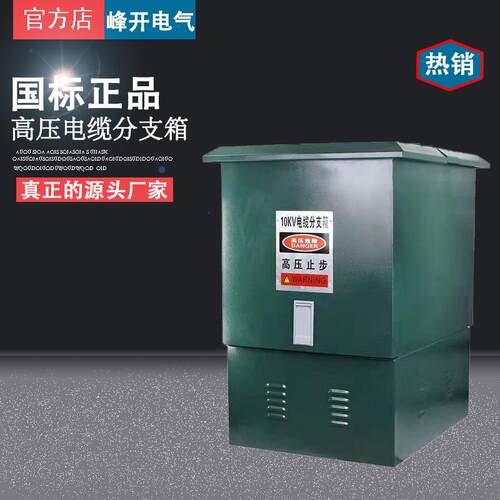 10KV高压电缆分支箱一进二出欧式不锈钢对接箱带开关DFW-12/630