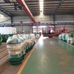 N潜水泵 BQS300 矿用隔爆型潜水排沙电泵 耐磨合金铸铁