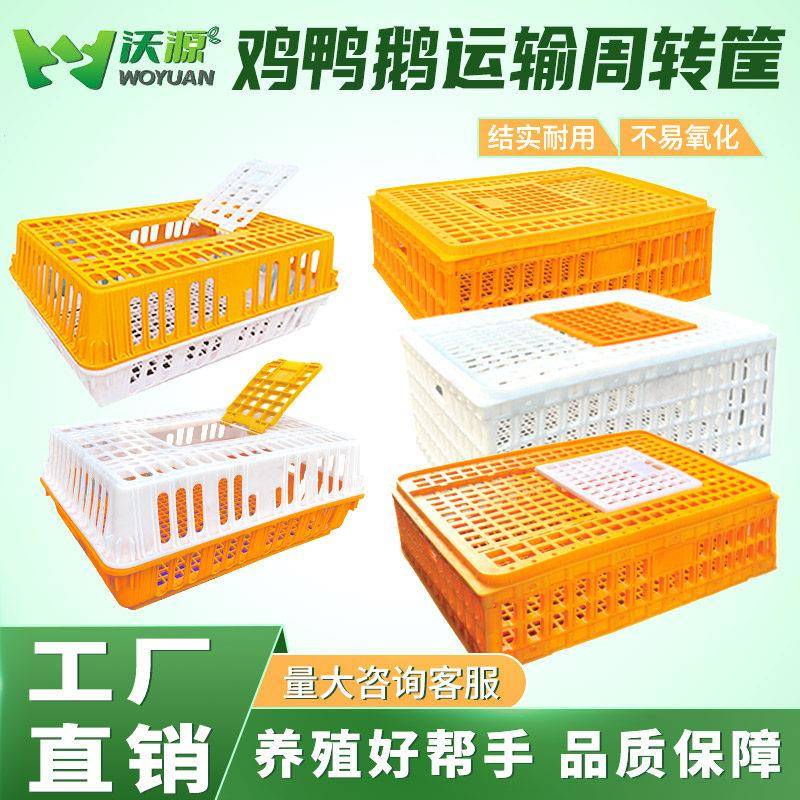 家禽塑料周转箱鸡鸭鹅鸽子运输周转筐养殖场用加厚特大号鸡运输笼