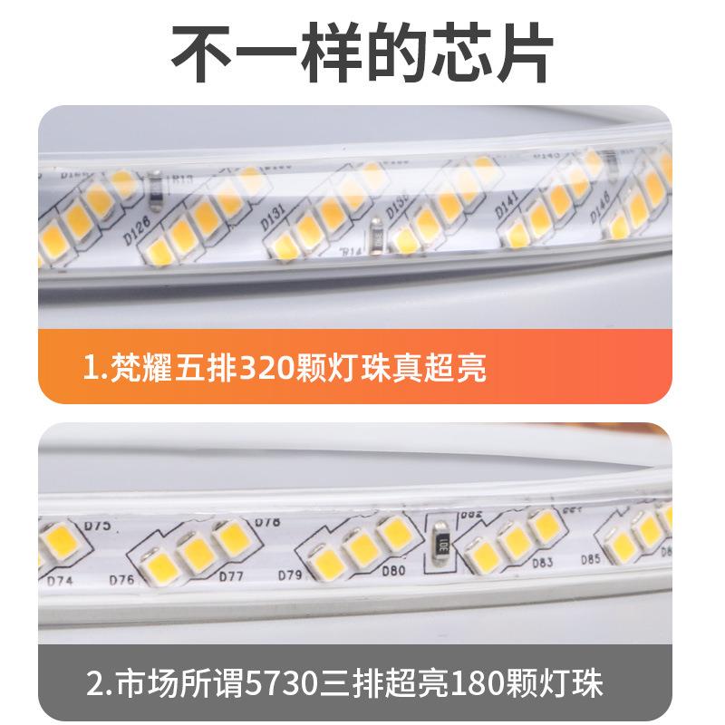 户外led防水灯带220v工程外墙低压24v超亮养殖工地照明塔吊灯带条图片
