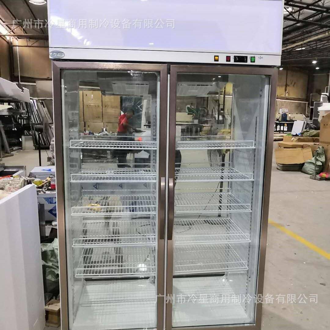 双门饮料柜110V60HZ双通两面对开玻璃门酒水展示冰柜风冷商用冰箱
