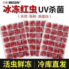 贝森BESSSN红虫冰冻牛心汉堡水蚤丰年虾赤红线虫罗汉七彩神仙鱼粮