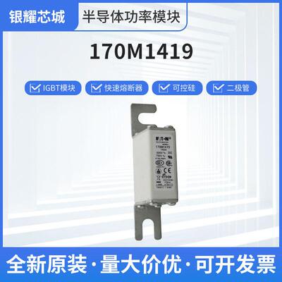170M1419低压快速熔断器现货