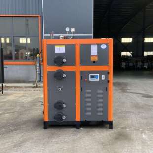 全自动0.5T生物节质蒸汽机熨纺织烫行20250417业配套设备发能颗粒