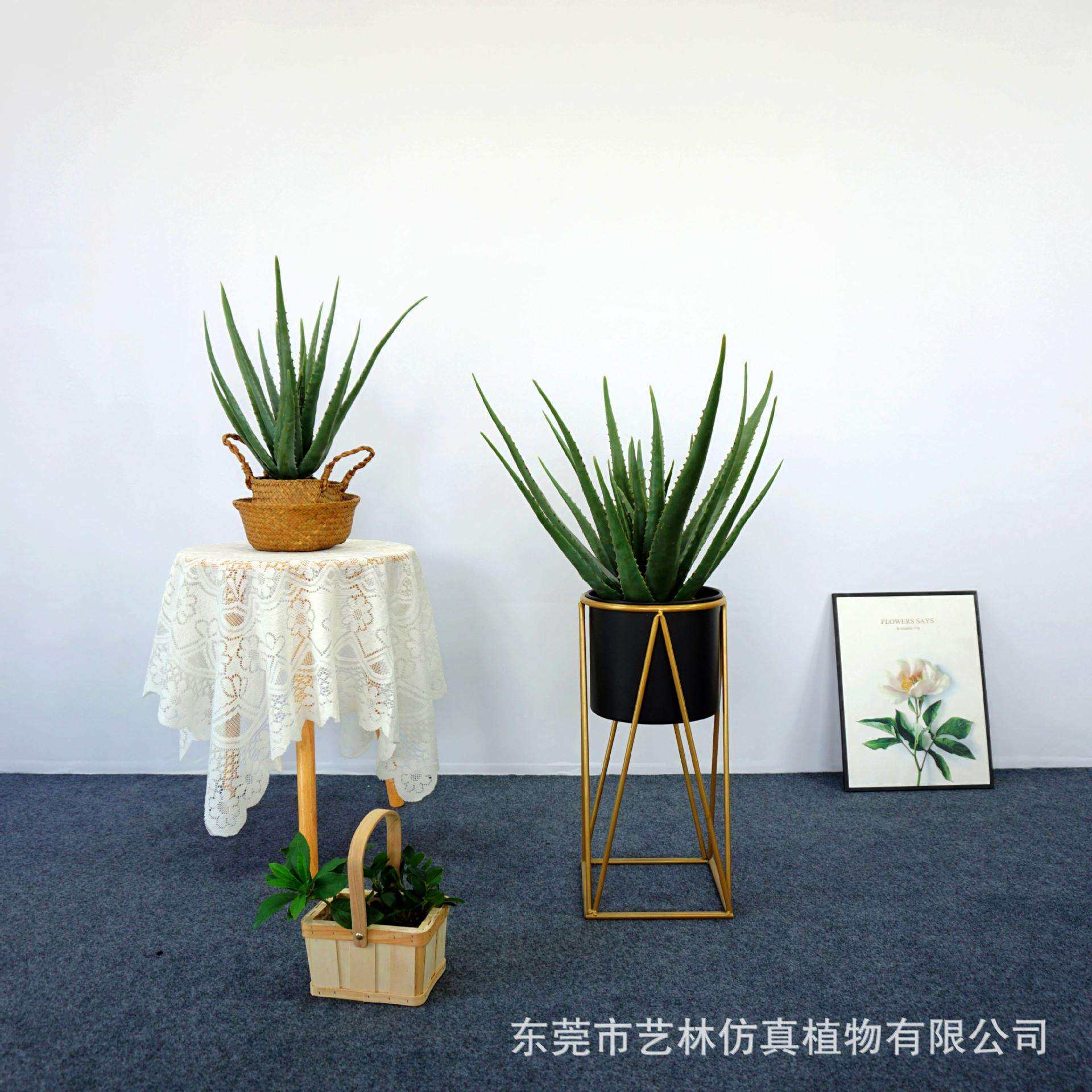 北欧风仿真绿植芦荟盆栽室内客厅装饰落地摆件人造假植物造景