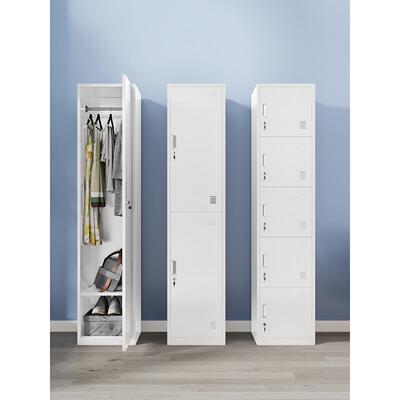 门更衣柜铁皮柜宿舍带锁工储物柜单RIR钢制柜员更衣箱简易办室公