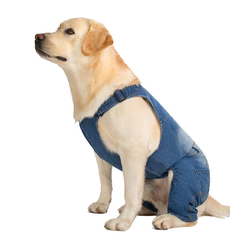 电商代发宠物狗狗衣服拉布拉多中大型犬四脚衣大狗牛仔背带裤