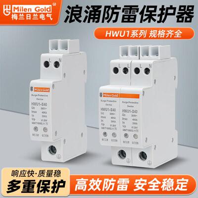 新型智能防雷保护器一体小体积2p4p20KA40KA家装带指示浪涌保护器