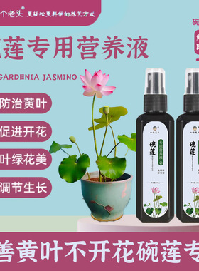 碗莲专用营养液荷花睡莲养花肥料水培观赏花卉绿色植物生根专用肥