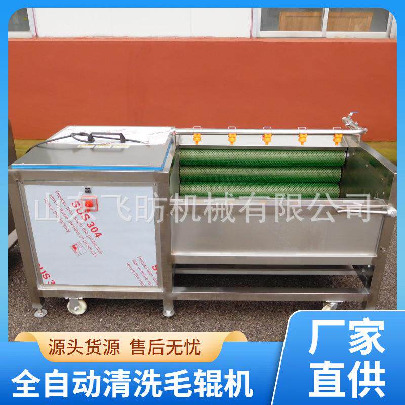 生姜洋葱毛辊清洗机红薯土豆磨皮机蘑菇干菌菇去泥沙杂质清洗设备