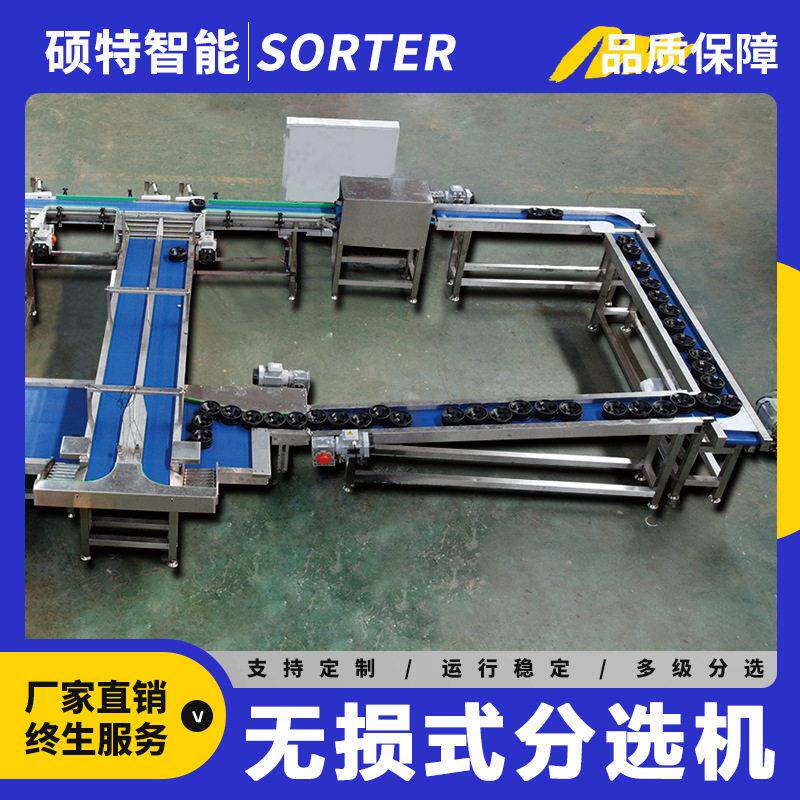 网纹蜜瓜零损伤选果机 石榴无损称重分选机 苹果定制重量分拣机