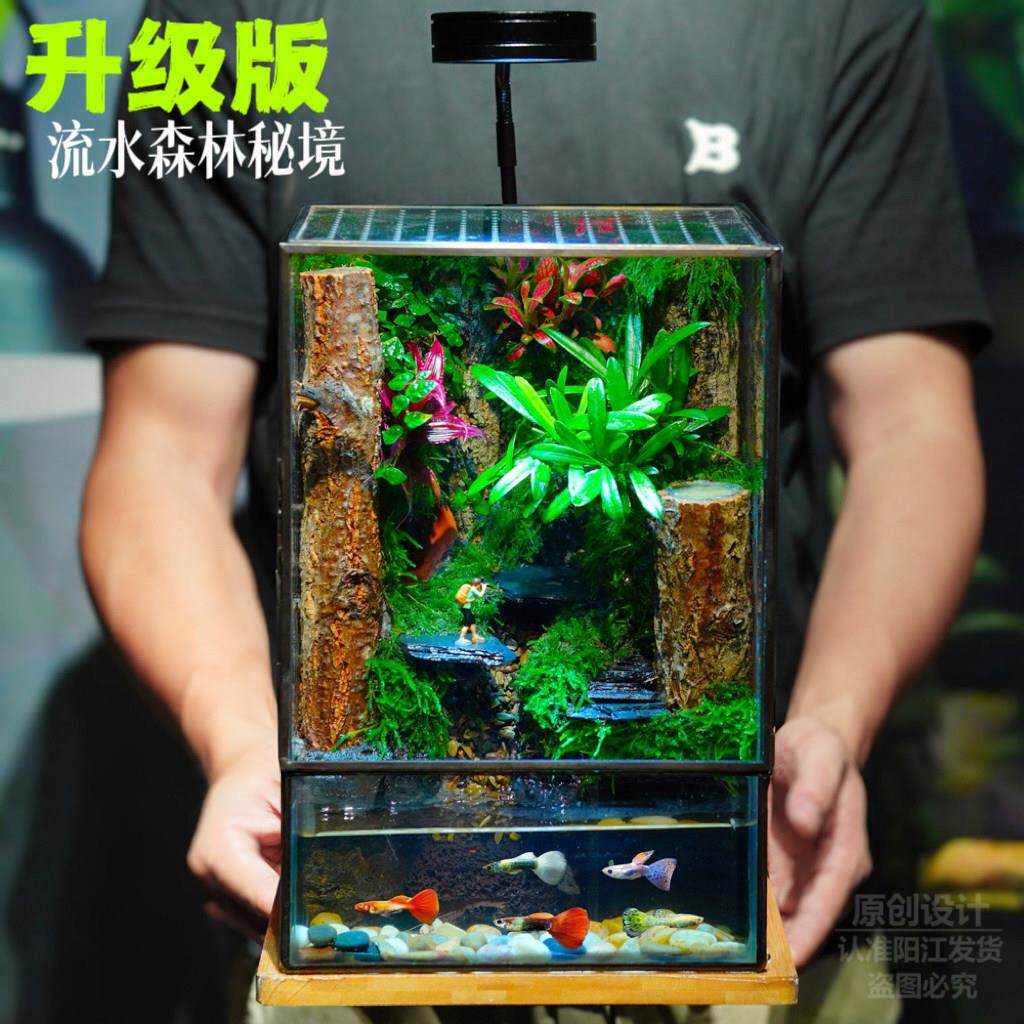 苔藓微景观雨林缸水陆生态鱼缸办公室桌面植物盆栽造景养蟹蛙成品