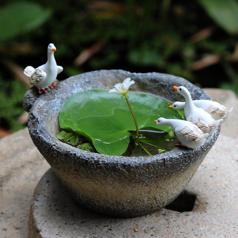 小白鸭子水培花盆一叶莲铜钱草花器庭院花园装饰摆饰覆古彷石臼盆