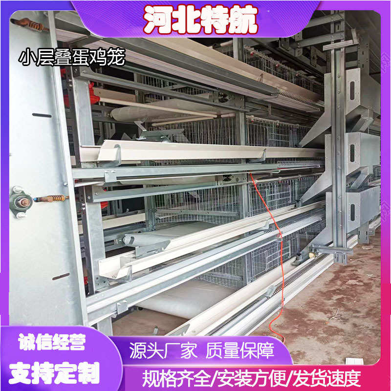 小层叠蛋鸡笼热镀锌丝鸡笼   层叠式框架全自动清粪捡蛋养殖设备