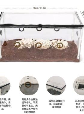 用TTD于蘑菇栽培的温室小型室携内温棚便易组装寒迷防你植保物