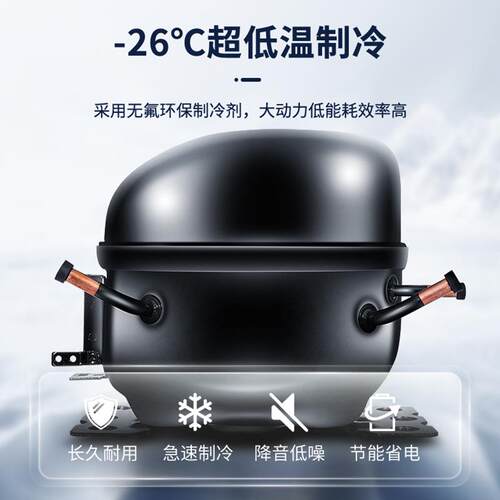 澳柯玛 商用冷冻柜 小型雪糕柜 SD-200FC