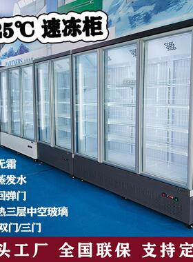 凌雪-22立式冷冻展示柜火锅食材雪糕榴莲速冻商用冷柜冰淇淋冰柜