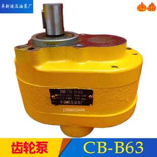 B2.5 阜新液压油泵厂齿轮泵CB 100
