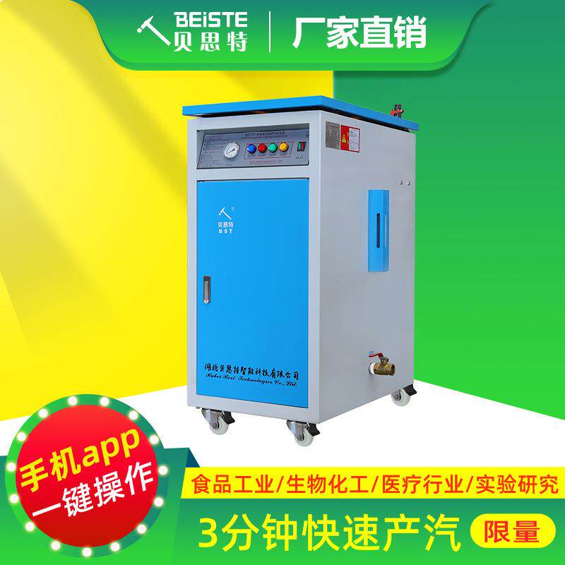 电加热蒸汽发生器免报检商用做豆腐煮豆浆酿酒专用蒸汽机高效节能