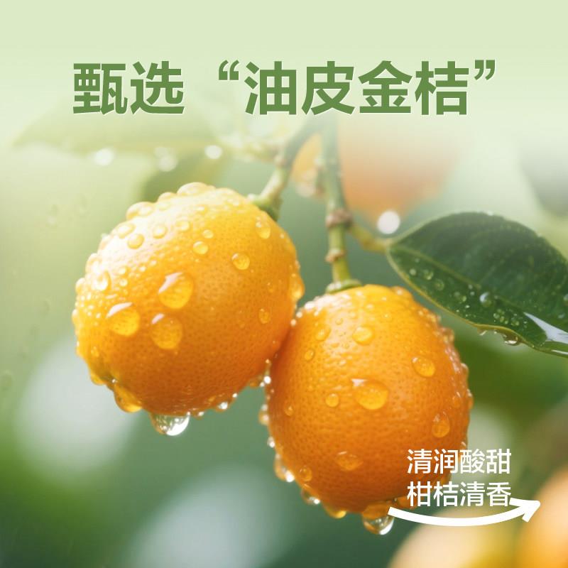 新货广西桂林特产丽特源雪桔阳朔金桔甘草金桔小零食开袋即食