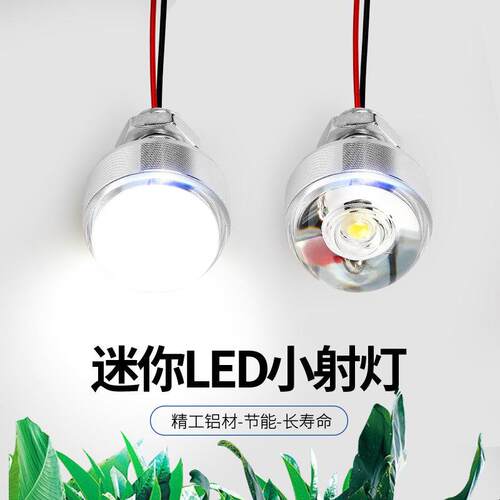 高亮LED灯珠恒压直流12VLED灯24V小灯泡带线 线灯主机壳仪器设备