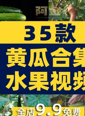 黄瓜合集有机水果大棚种植采摘农业绿色蔬菜影片高清实拍素材剪辑