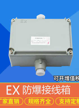 BJX防爆配电箱照明动力箱防爆接线箱空箱防爆仪表箱控制箱