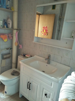 北欧小户型现代简约落地式浴室柜怎么样？用后一周发现软肋