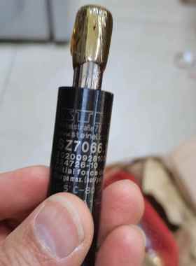 销售steinel normalien SZ8080.2.075X025B 84879090 气弹簧