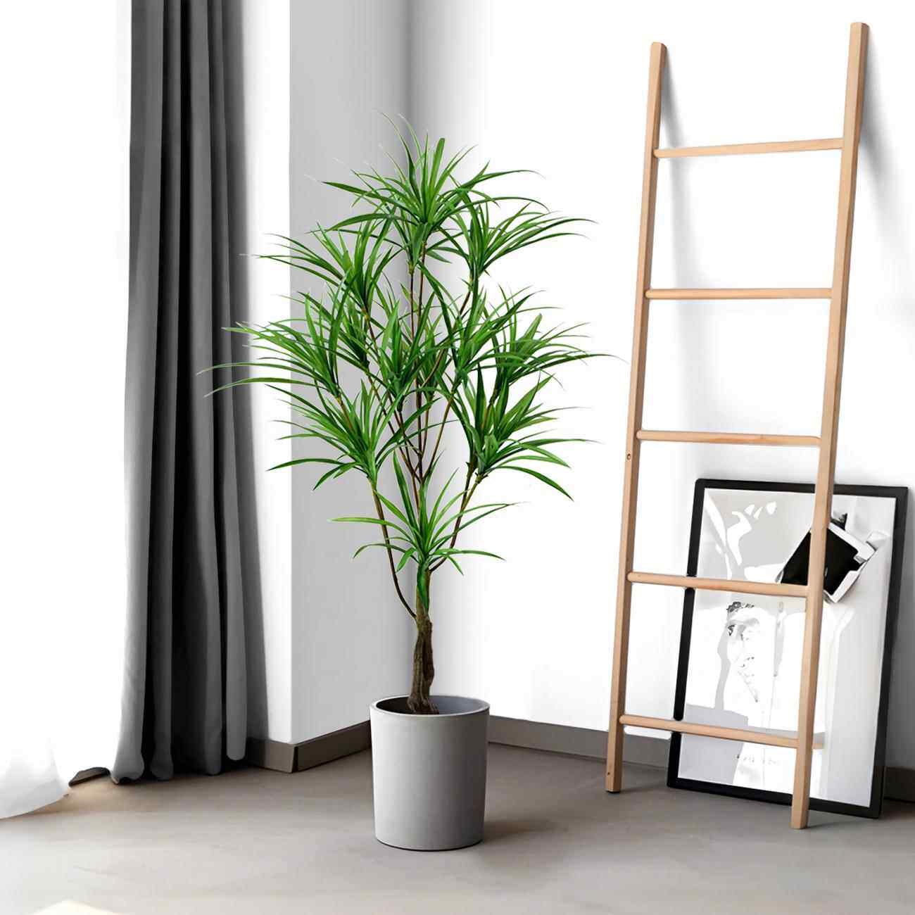 景仿吊真绿植兰树室内客厅大型盆园林DKF造景龙血树盆栽假铁树