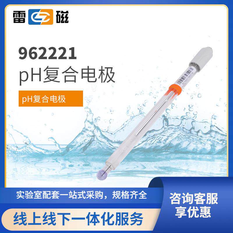 上海REX系列高端962221超纯水pH复合电极