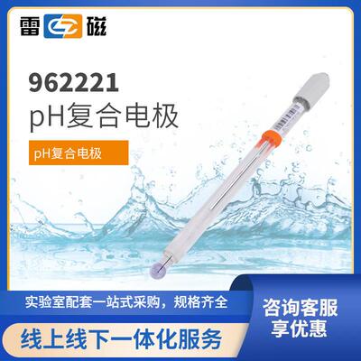 上海REX系列高端962221超纯水pH复合电极