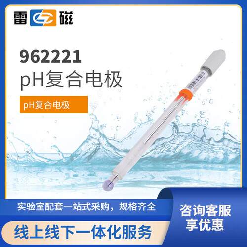 上海REX系列高端962221超纯水pH复合电极