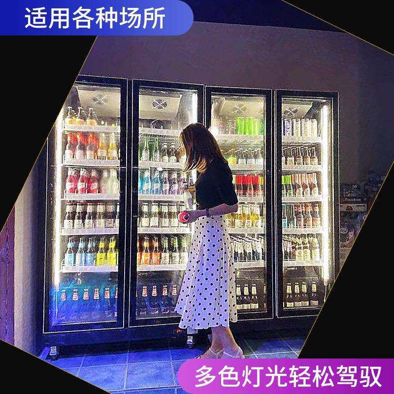 网红啤酒柜 商超酒吧风冷酒水柜 双门三门红酒饮料保鲜冷藏饮料柜