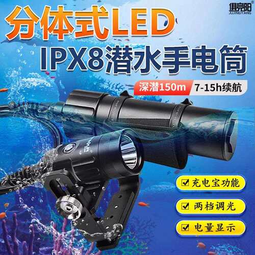led潜水手电筒户外赶海水陆通用专业潜水照明强光防水超亮探照灯